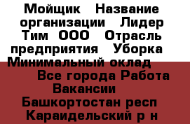 Мойщик › Название организации ­ Лидер Тим, ООО › Отрасль предприятия ­ Уборка › Минимальный оклад ­ 15 300 - Все города Работа » Вакансии   . Башкортостан респ.,Караидельский р-н